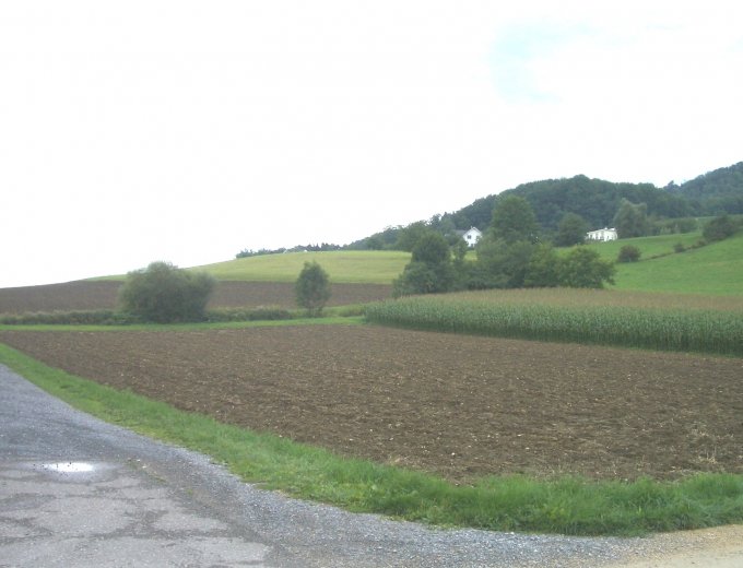 Vielseitig nutzbares Gewerbebauland 3'135 m2 am Rande der Bauzone