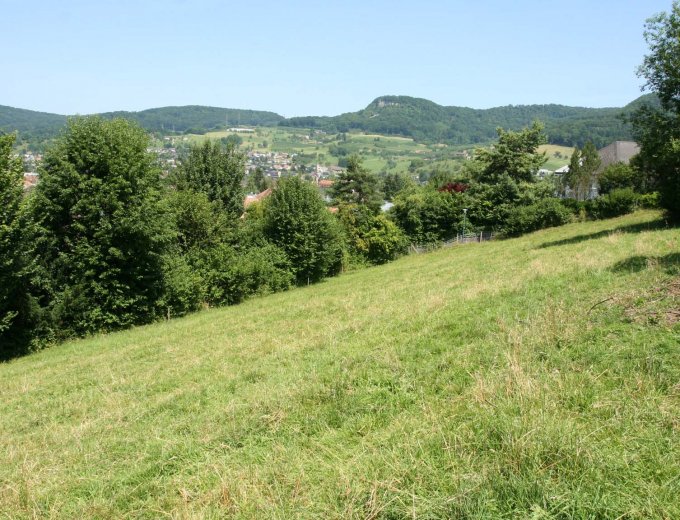 Drei attraktive Bauland Parzellen mit je 836 m2 an erhöhter Wohnlage (Verkauf einzeln oder en bloc)