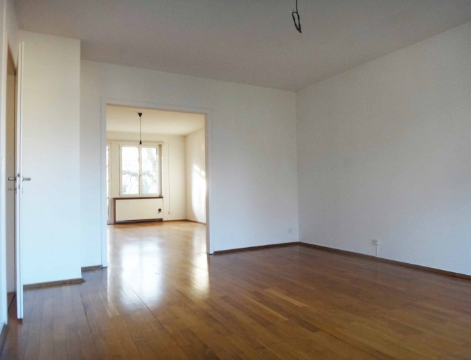Knarrende Eichenriemen an der Gellertstrasse ...